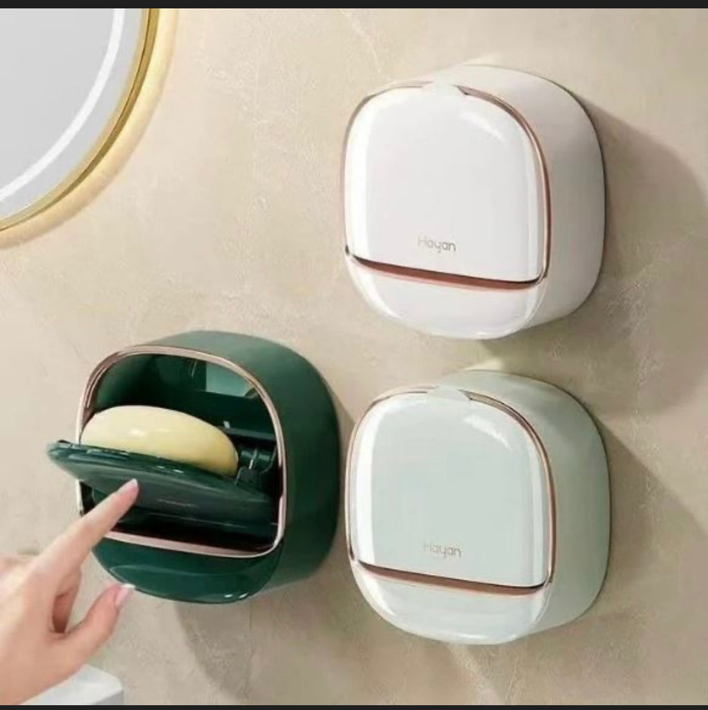 Wall mounted soap dish