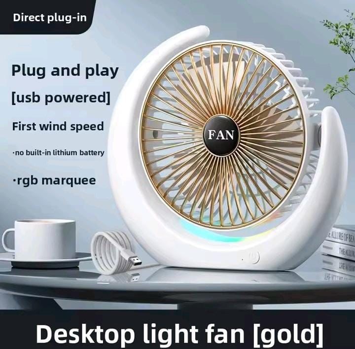 Portable Desktop Fan