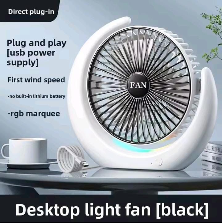Portable Desktop Fan